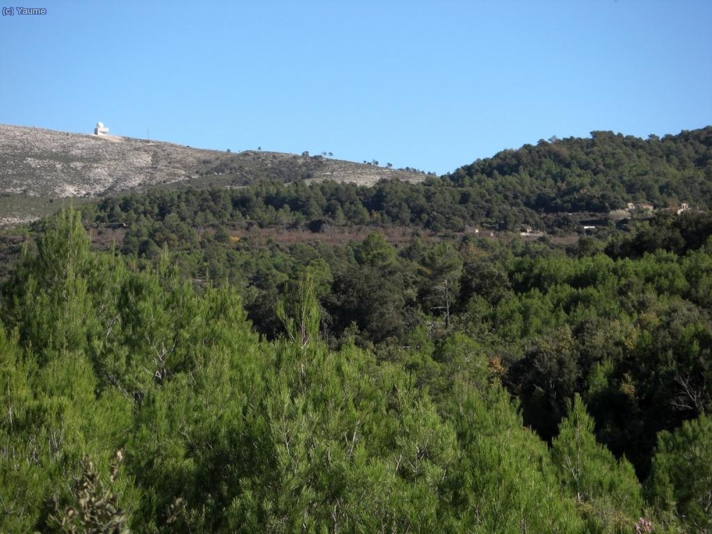 I ja hi som a dalt la serra. Llaberia i la Miranda (amb un nou catxivatxe qu&egrave; b&eacute; en podrien haver integrat a l
