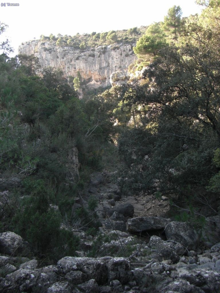 I de baixada, cap al barranc!...
