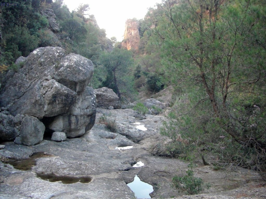 ...ara s