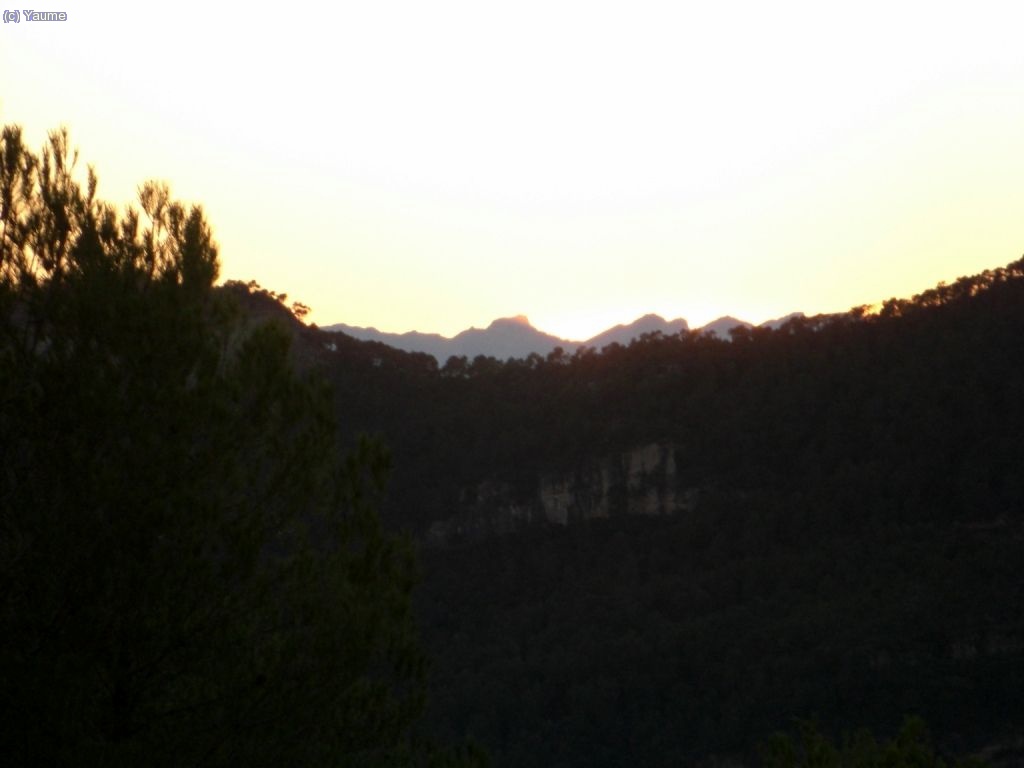 Perdre