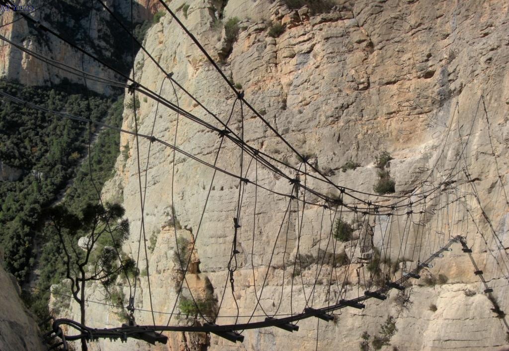 El pont d