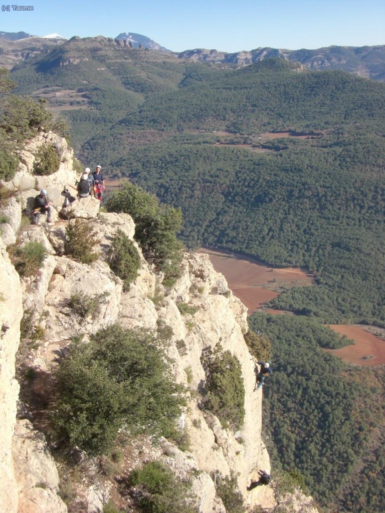 Els companys de l