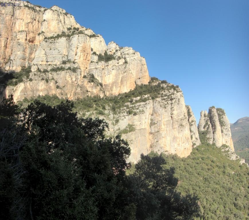 La vf de cap a cap.