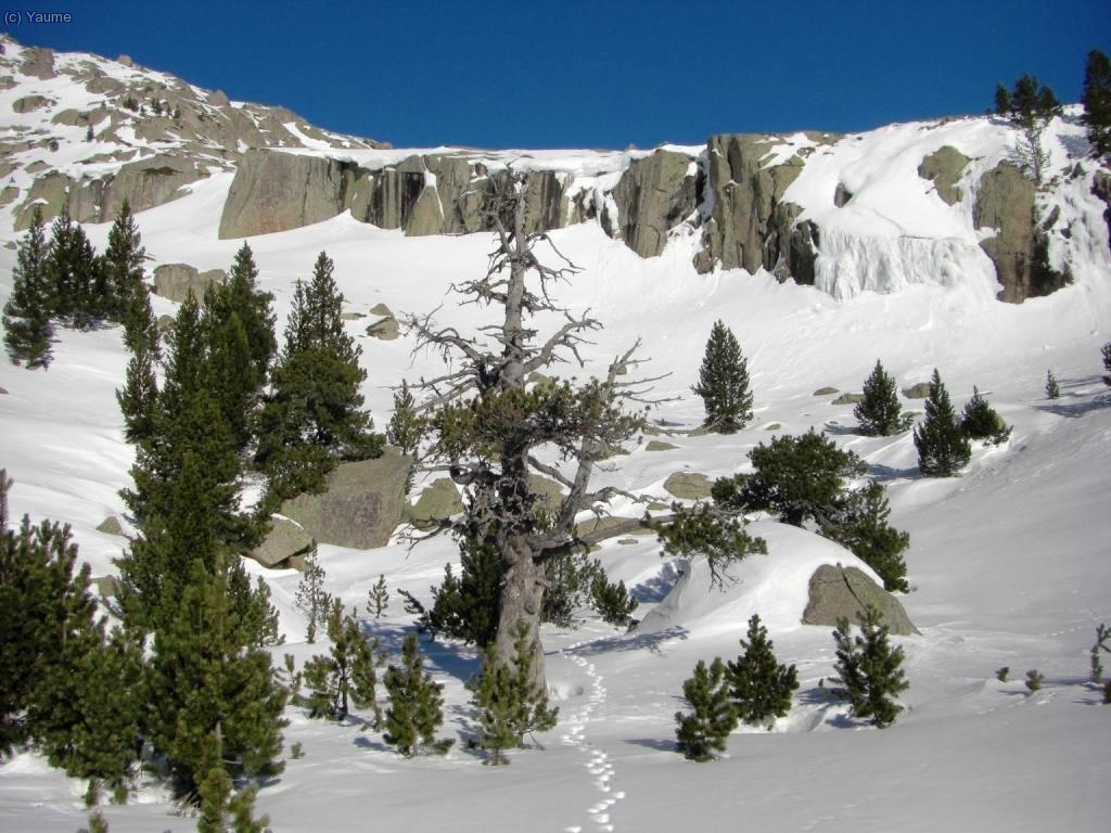 Alg&uacute; ens precedeix...