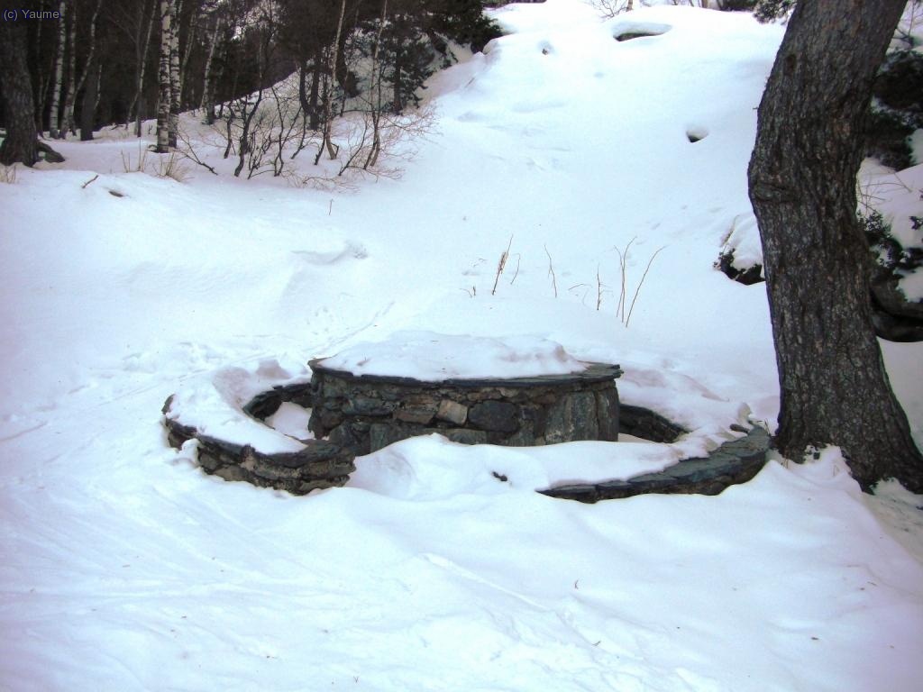 Qu&egrave;, seiem a fer un mos?...