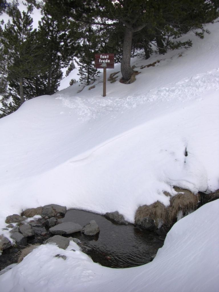 Font freda?... ja, ja... no ho fico en dubte en absolut.