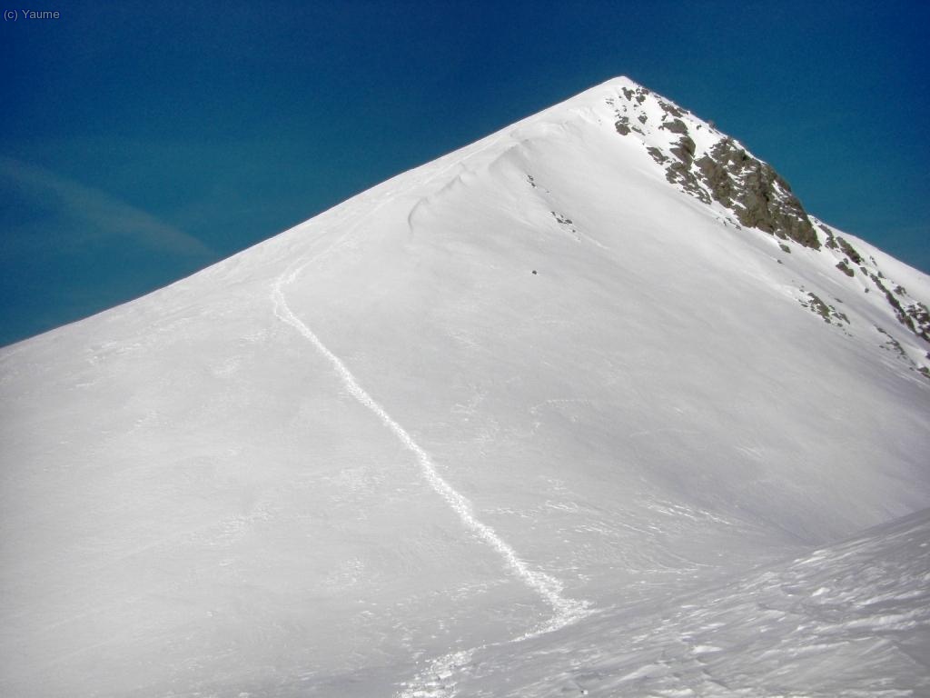 I cap avall que hi falta gent!...