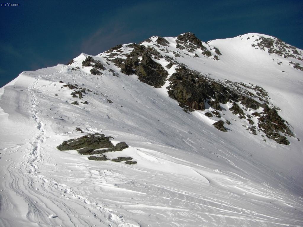 Ad&eacute;u xungui-cresta...