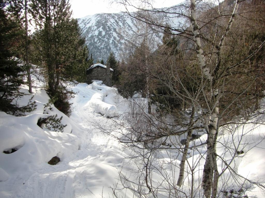 Hola civilitzaci&oacute;...