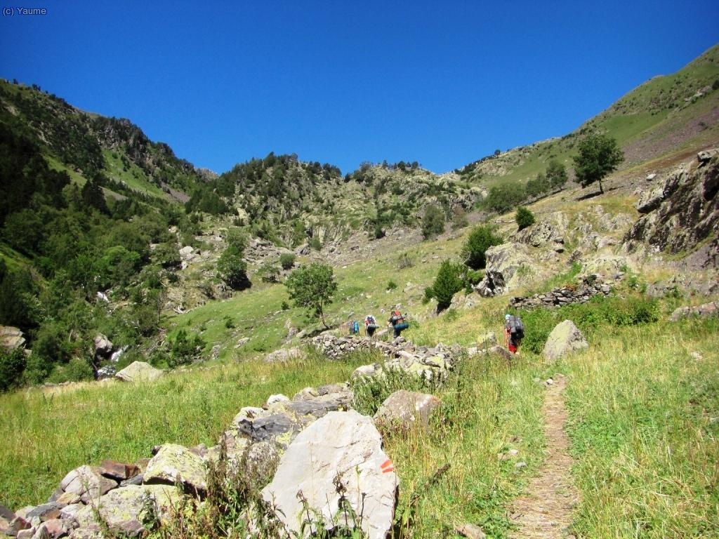 Comen&ccedil;a el passeig pels boscos i prats de Lliterola.