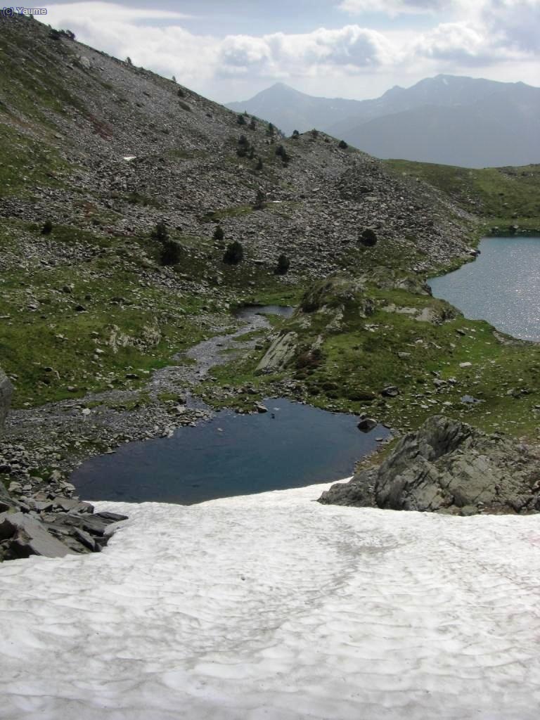 Un bell i refrrrrrrescant tobogan: qui gossa?...