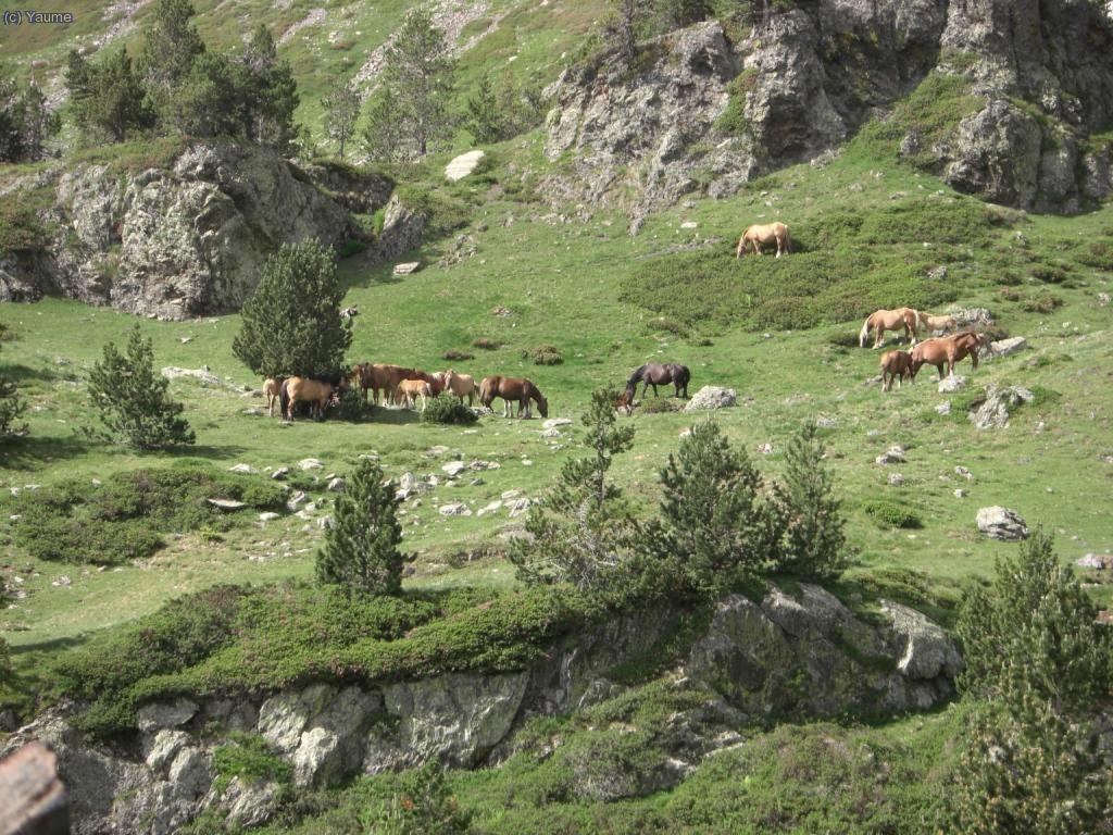 Aqu&iacute; uns companys fent l