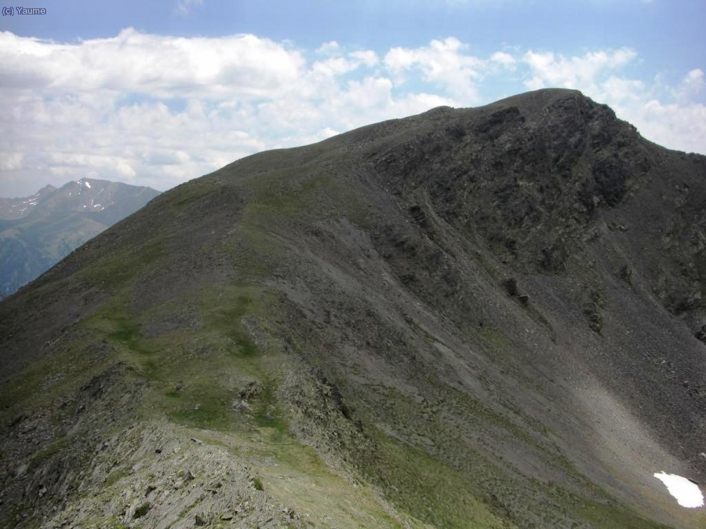 Vora el pic de les fonts, acaba tanta pedra (ui qu&egrave; b&eacute;!...) i comen&ccedil;a el prat tovet tovet.