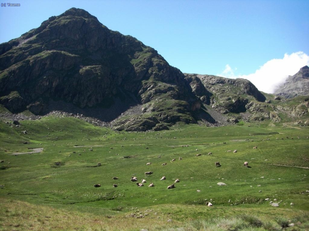Un paisatge mmmuooooolt buc&ograve;lic.