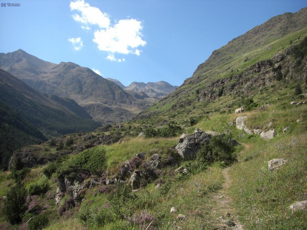 Deixem enrera muntanyes i prats tot caminant per Riq&uuml;erna.