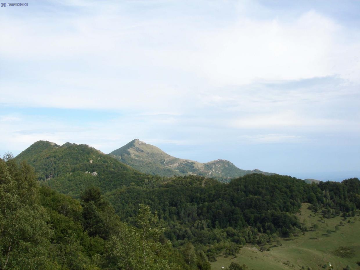 COMANEGRA DES DE ST. LAURENT DE CERDANS
