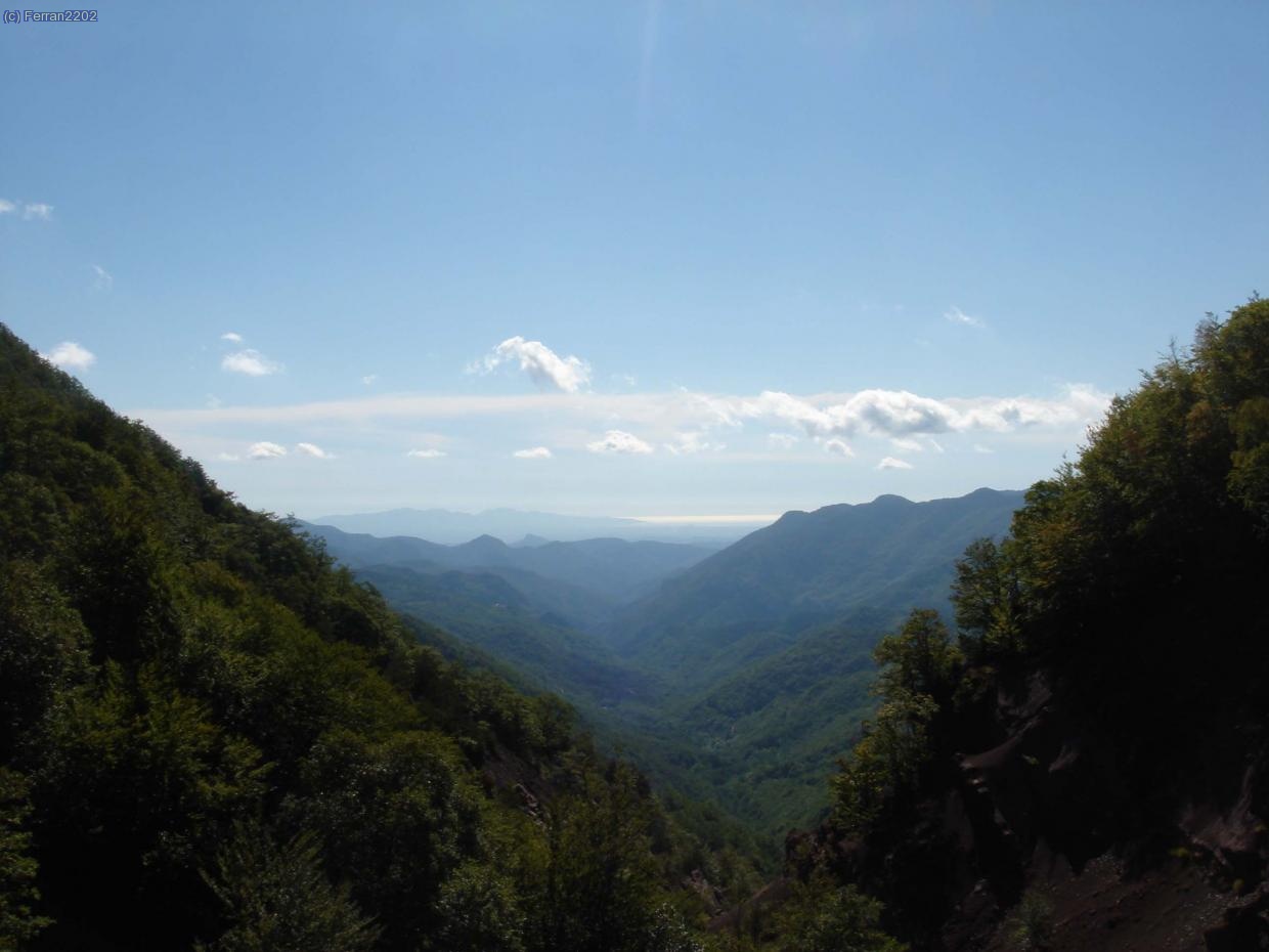 LES FONTS DEL MUGA