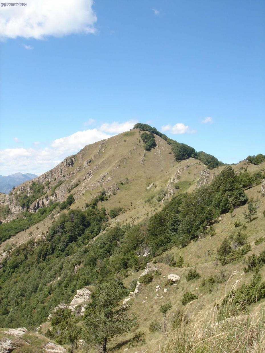 COMANEGRA DES DEL PIC DE LES BRUIXES