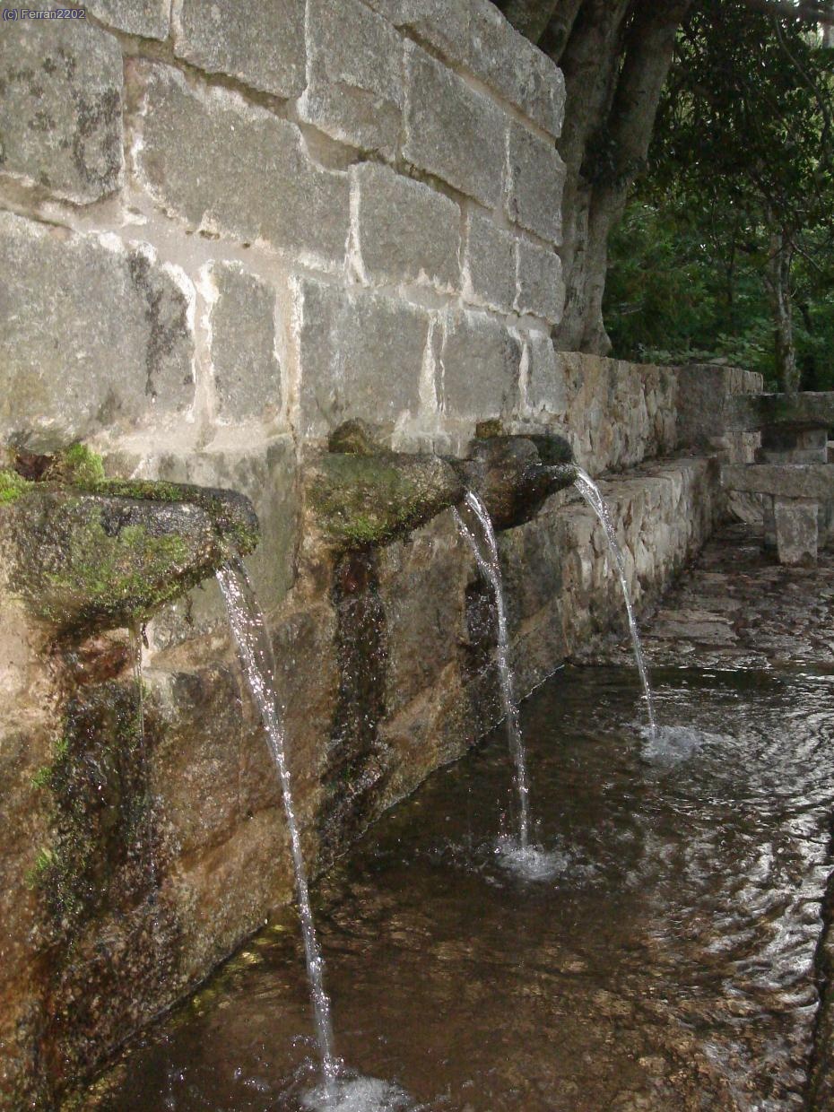 FONT DE SALINES