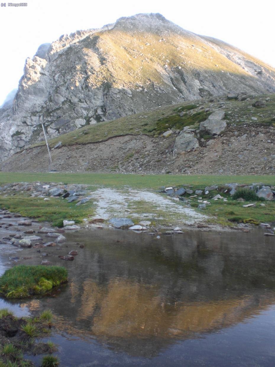 Foto del gr&agrave; de fajol