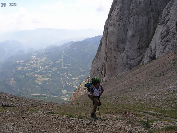 Al final de la tartera.