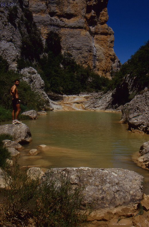 Algunos posados.