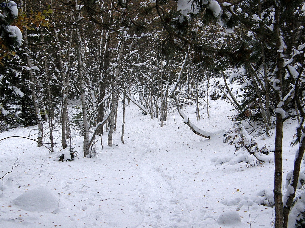 Cam&iacute; drecera al Pla de la Selva