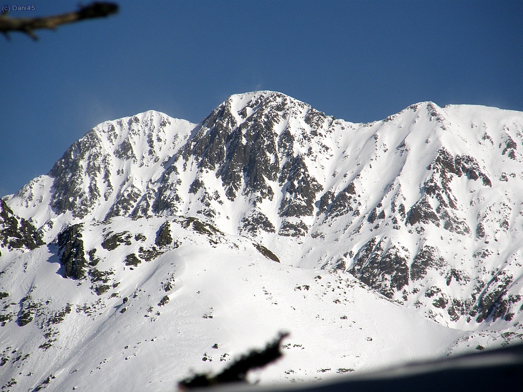 Mass&iacute;s de la Pica