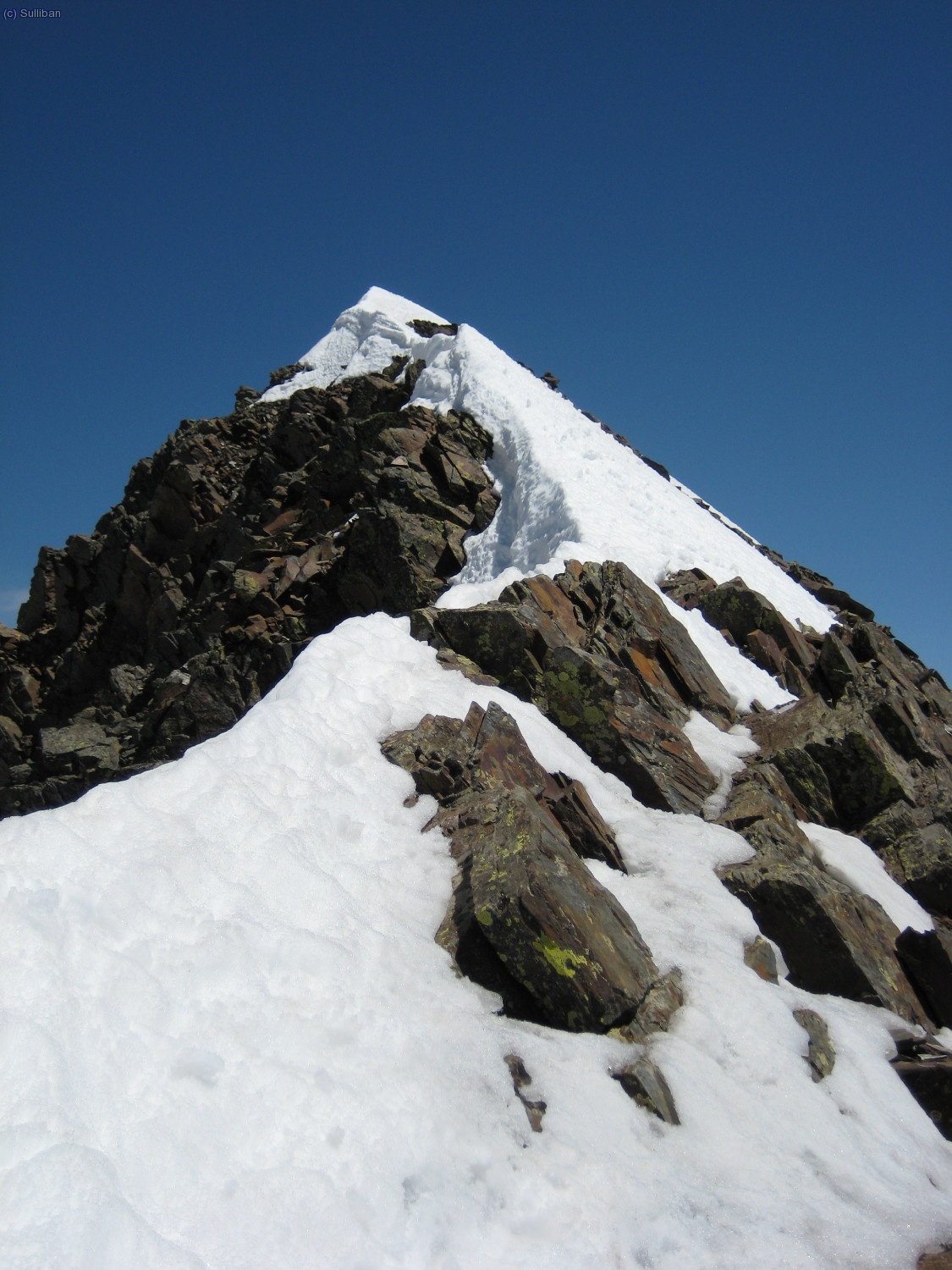 100 mts y cima...