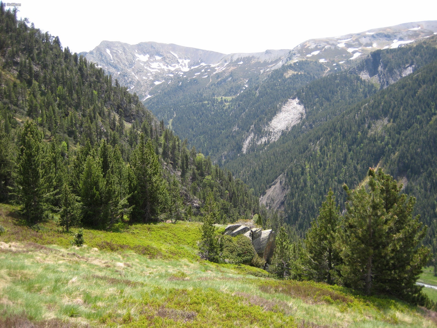 En los valles todo &eacute;s verdor...