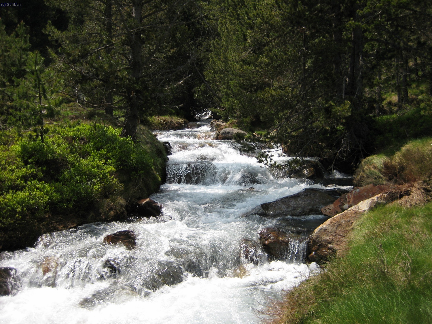 Y agua, mucha agua por todas partes.  