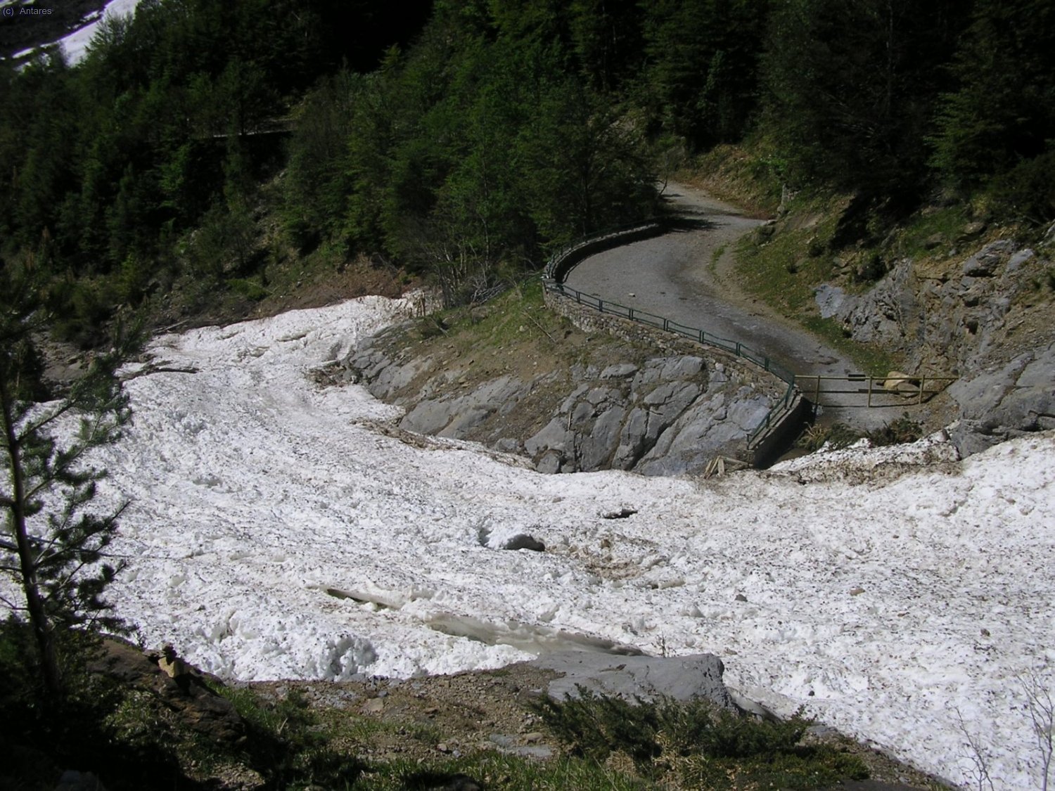 Un alud ha barrido el puente sobre el Cinca