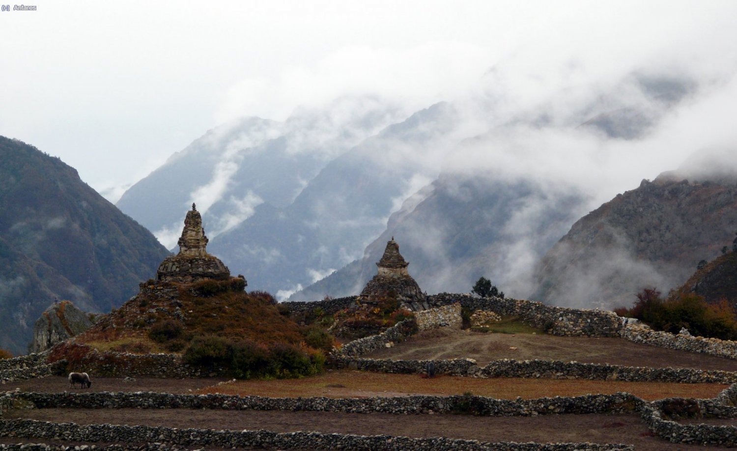 Chortens en Phortse