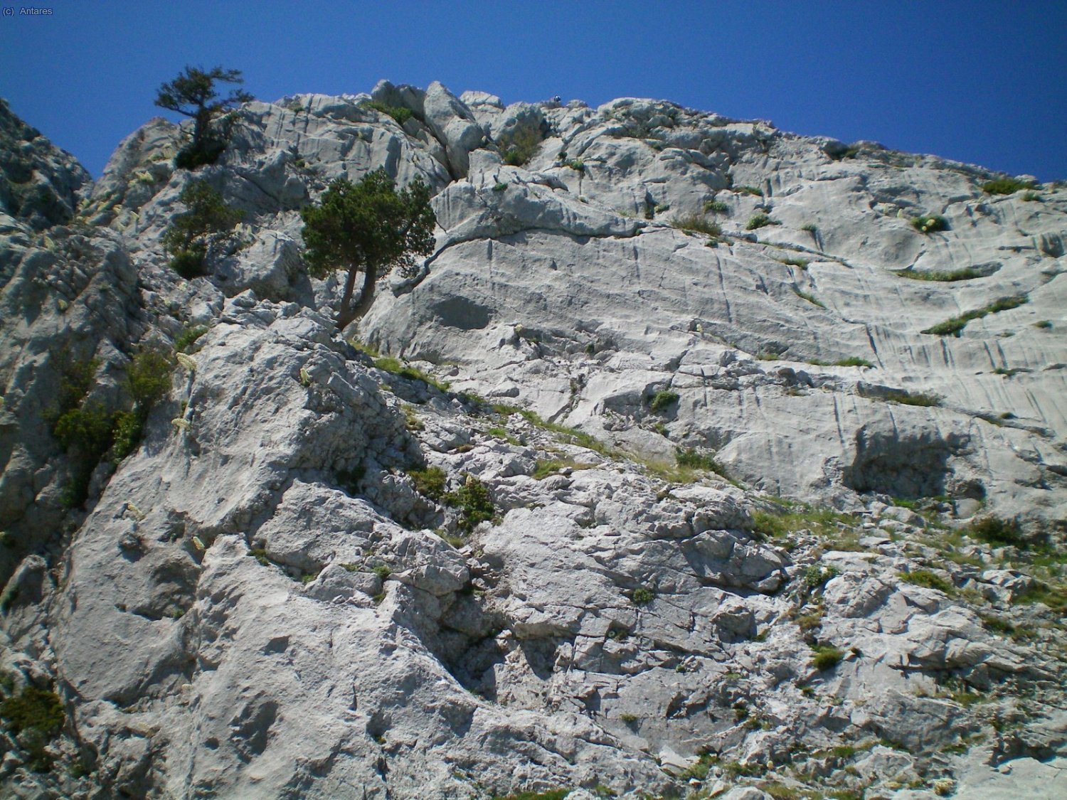 Andar y trepadas hasta el pit&oacute;n donde est&aacute; instalado el r&aacute;pel