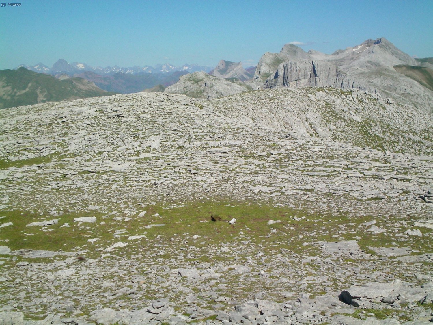 Asoma la cima del Espelunga, los Alanos, el Castillo de Acher, Bisaur&iacute;n y m&aacute;s al fondo incluso el Midi.