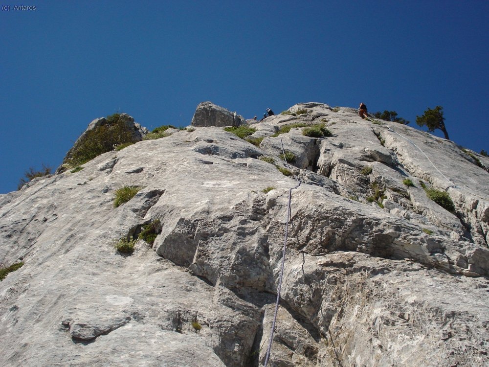 Cada cordada va por donde mejor le parece