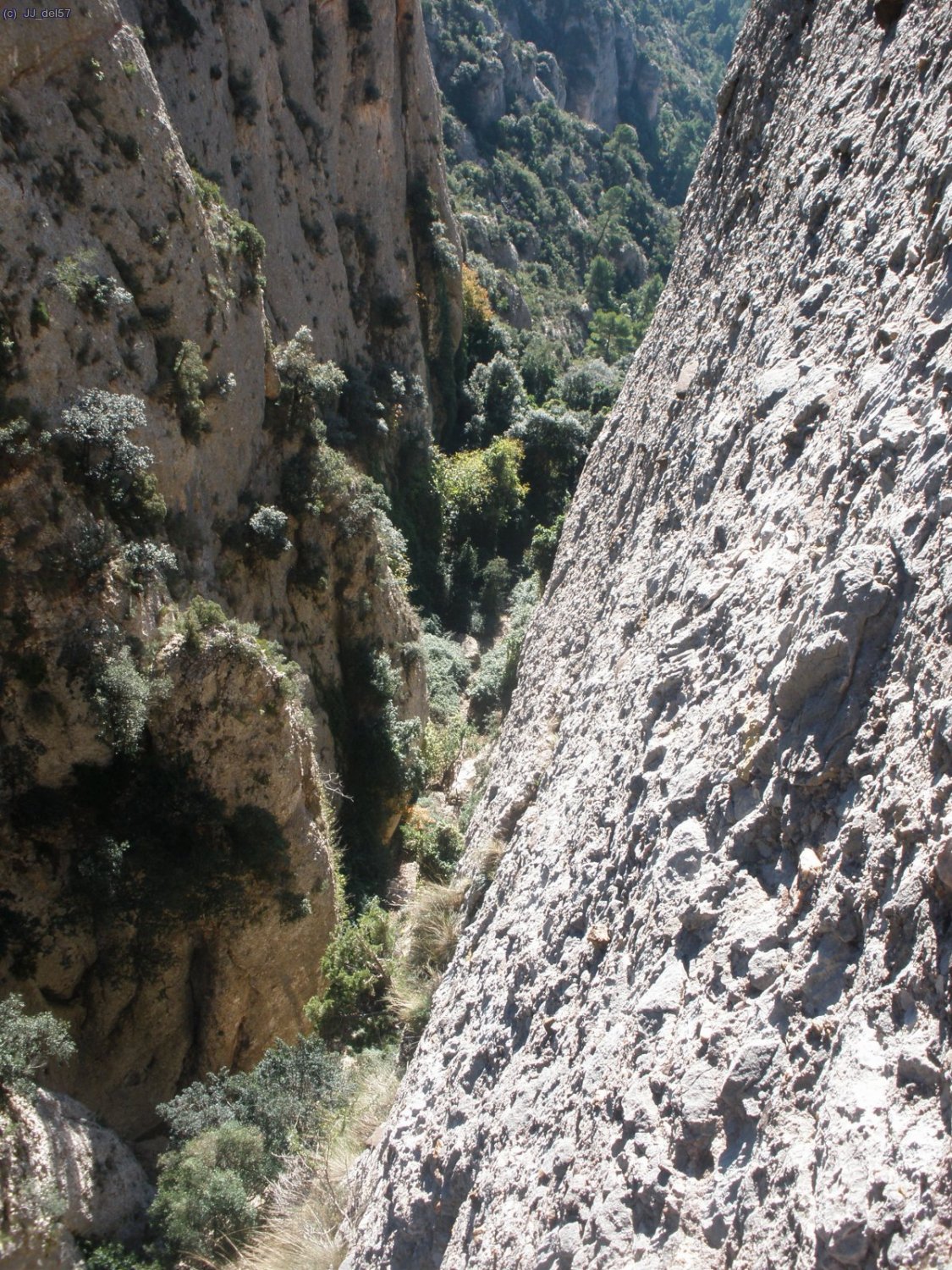 Canal de l