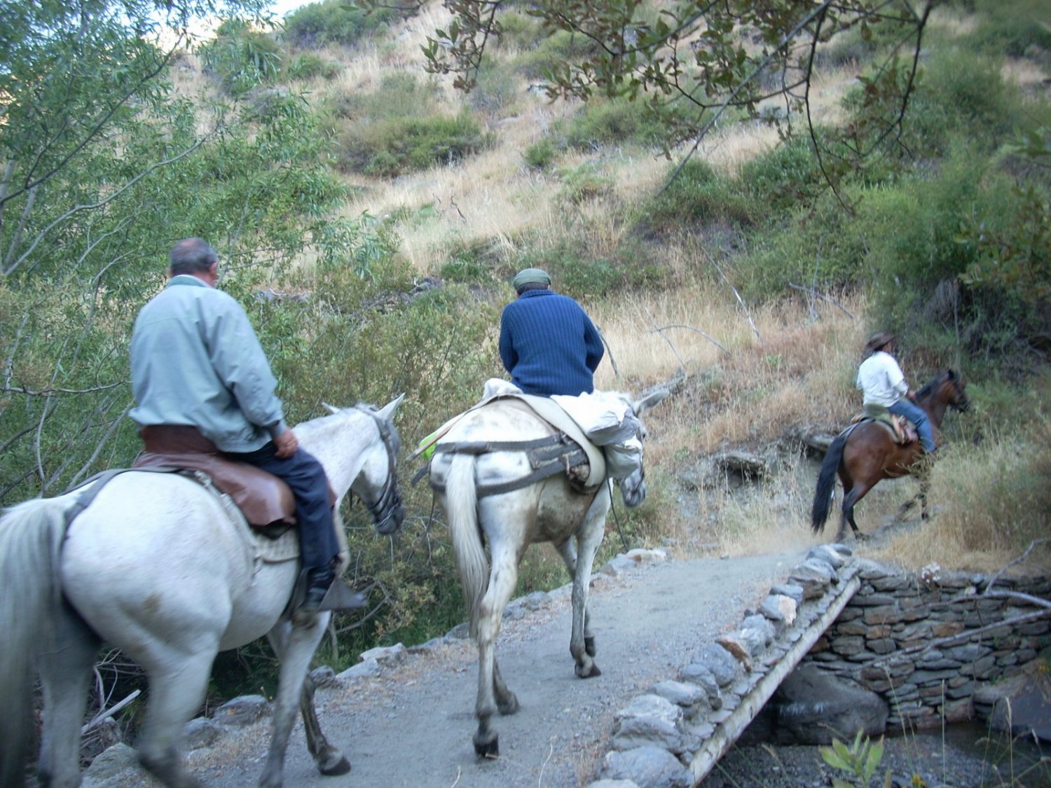 Arrieros somos y en le camino nos encontraremos.