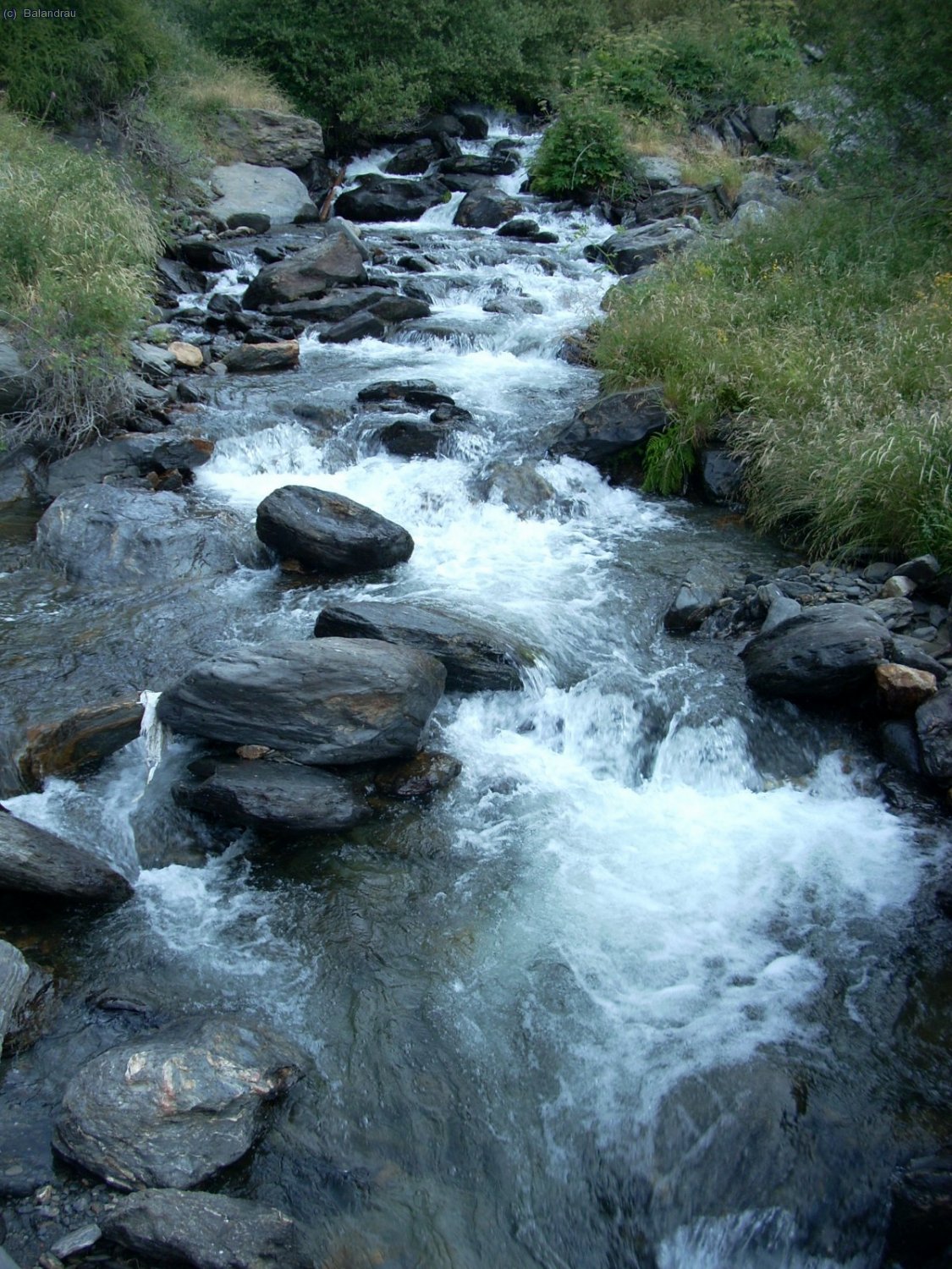 El rio Trevelez que llevaba un caudal bastante importante.