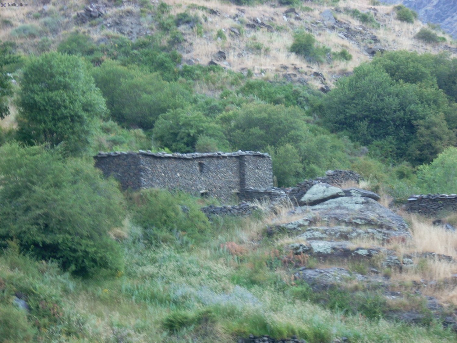 Ya volvemosd a ir a la carga en nuestro &uacute;ltimo d&iacute;a vista de un "Cortijo" pastoril.