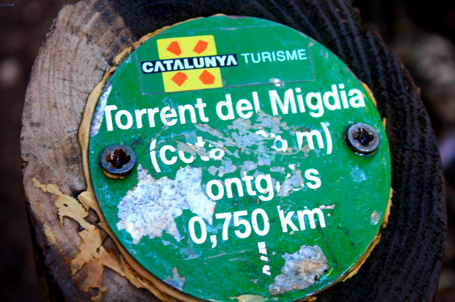 llegamos al "torrent del migdia"
bajaremos un trozo para volver a subir.......hasta "el montgr&ograve;s"