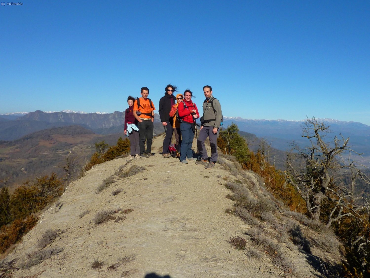 El Puig de la Bastida (1241 m), amb els Pirineus al fons! 