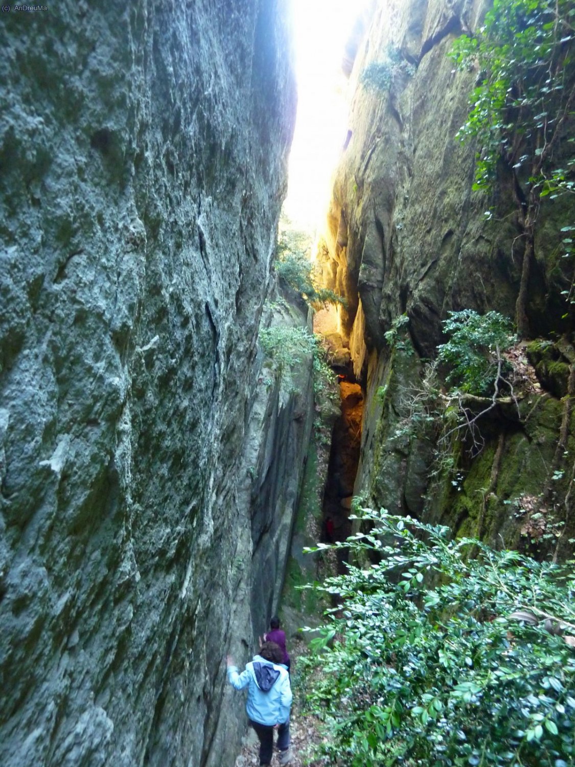 Interior de les Bores de Massallera.  