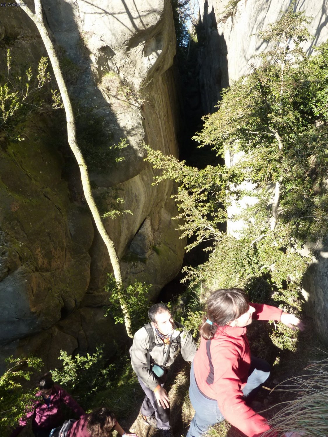 Ja fora de les Bores, pujem al cam&iacute; carener.  