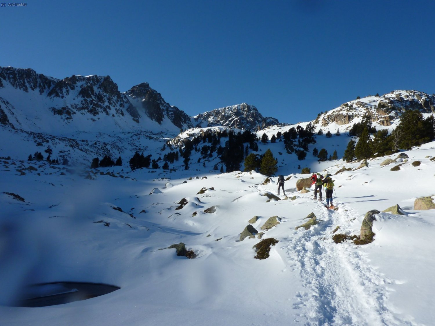 Molt endins del Circ de PEssons. 