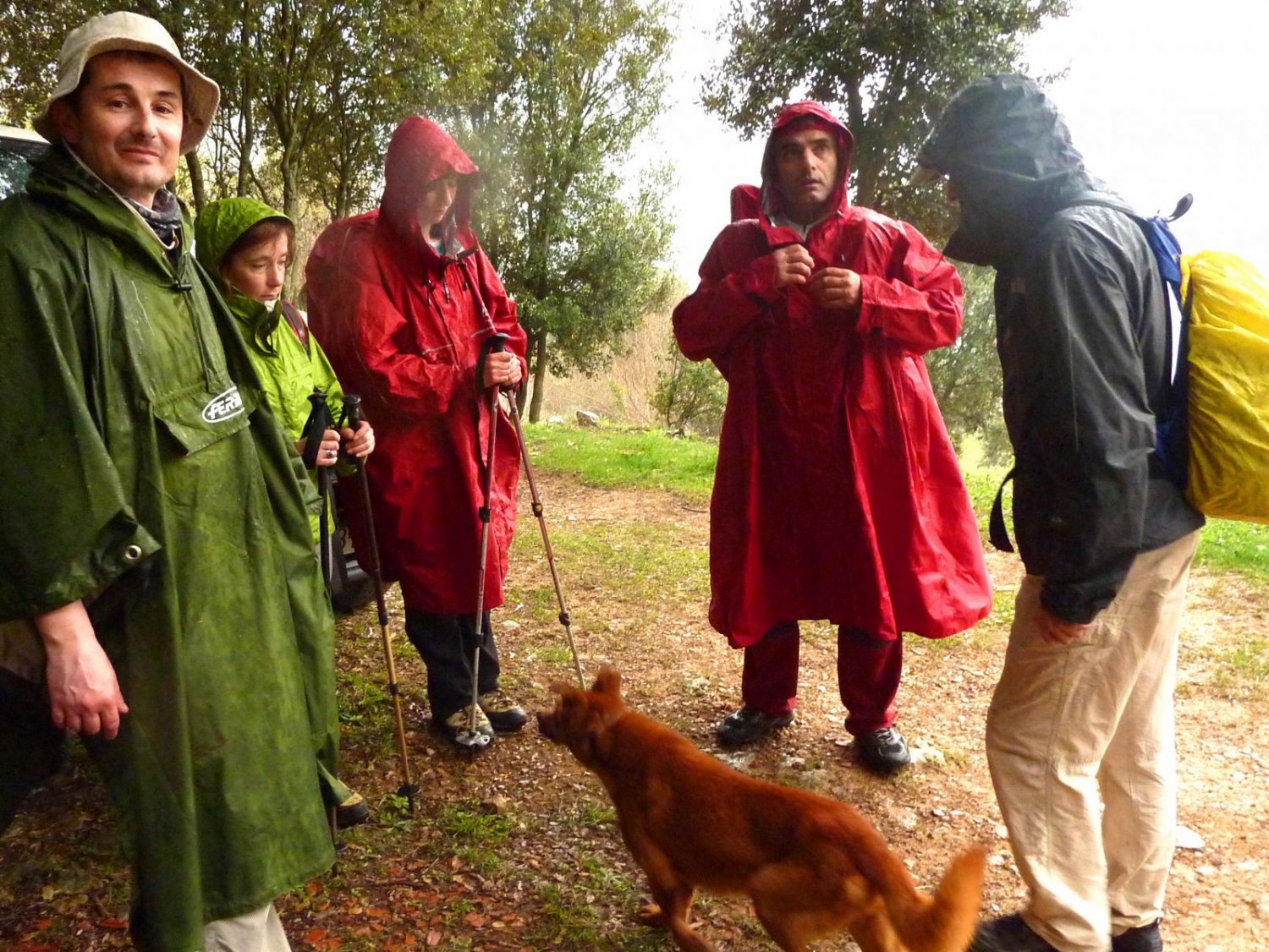 Al Coll de Talaix&agrave; comen&ccedil;a a ploure.