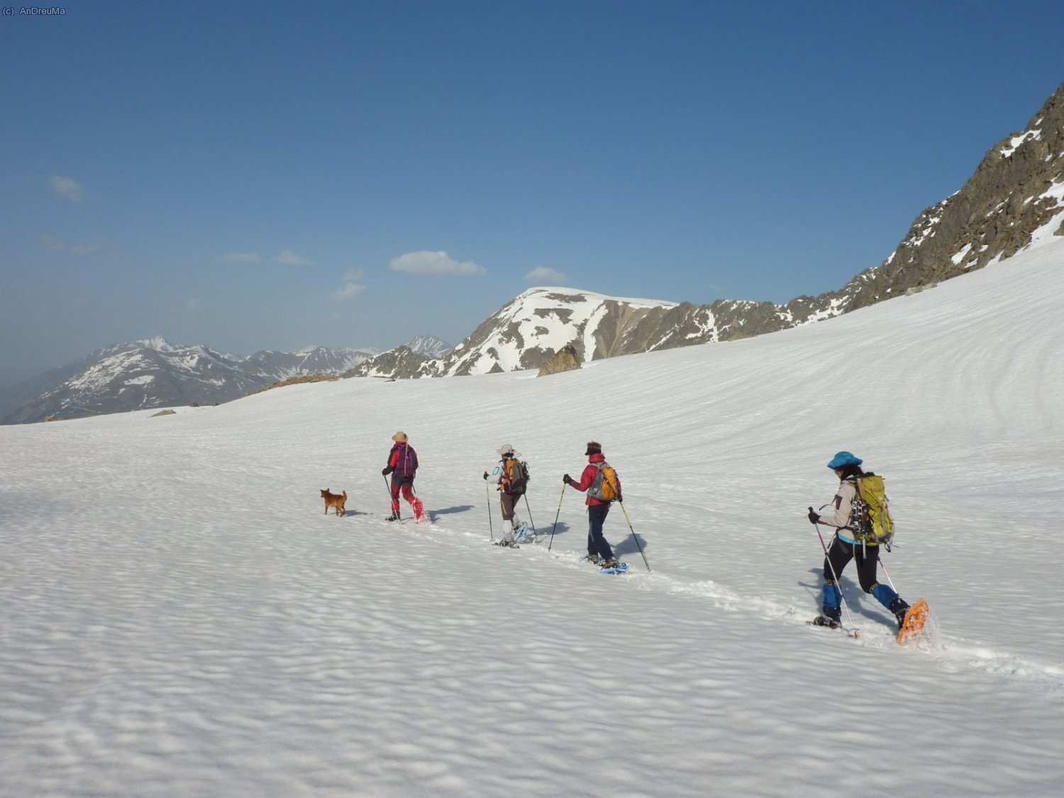 ...i amb pasos decidits,...