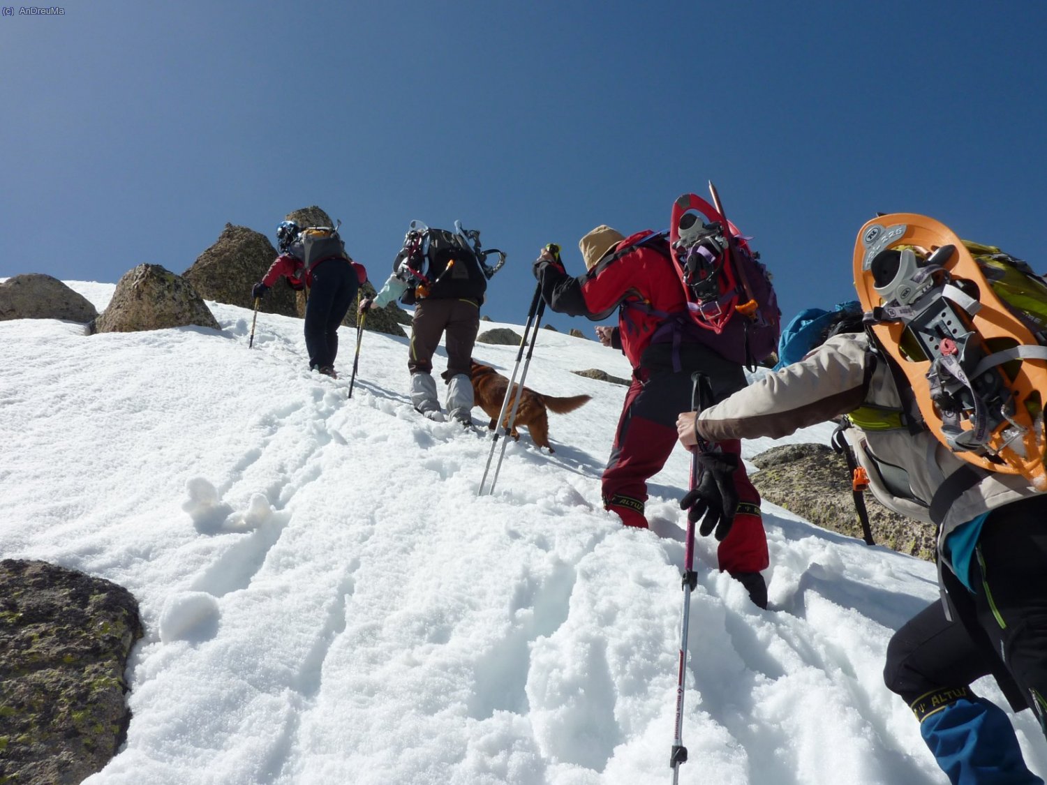 ...per coronar el tercer (Fontnegra Central)  