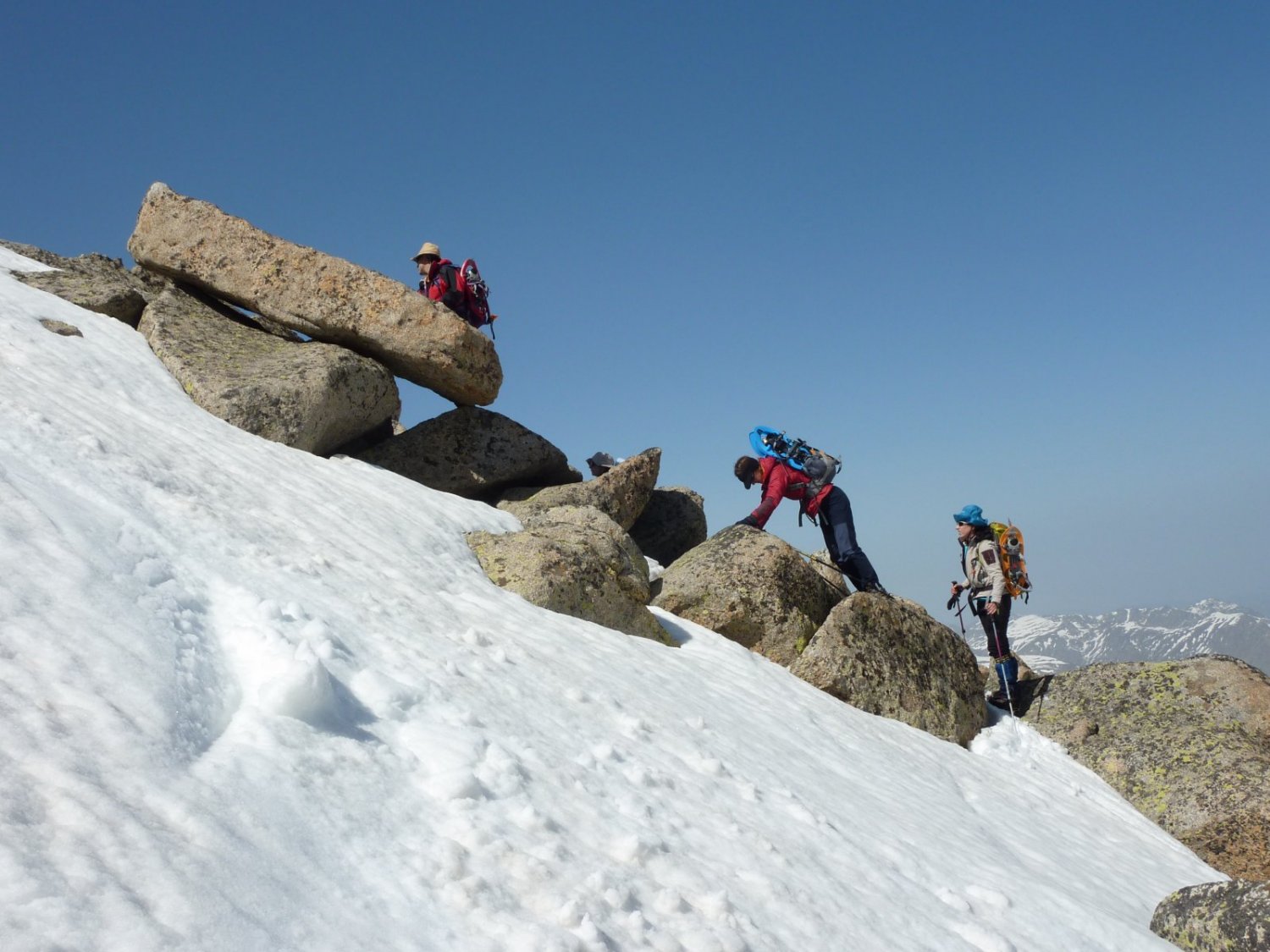 ...primavera, ens dificulta... 