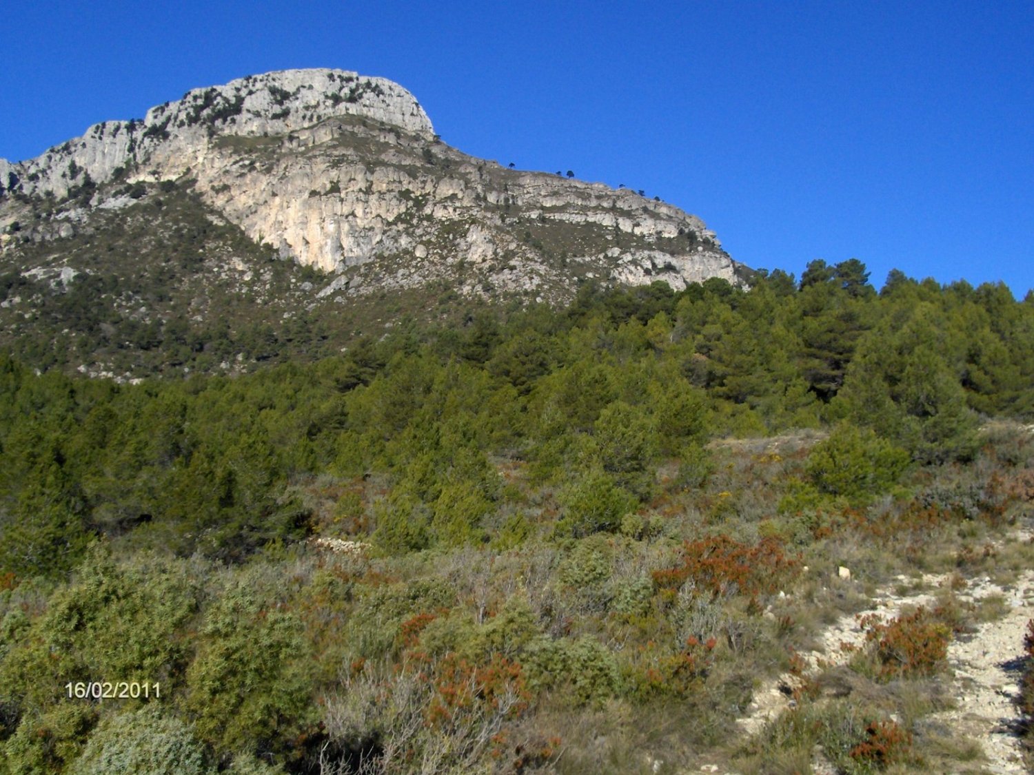 Subo a la Mola por un camino no muy concurrido, por el Clot de la S&agrave;lvia hasta salir al Portell de la Cova.